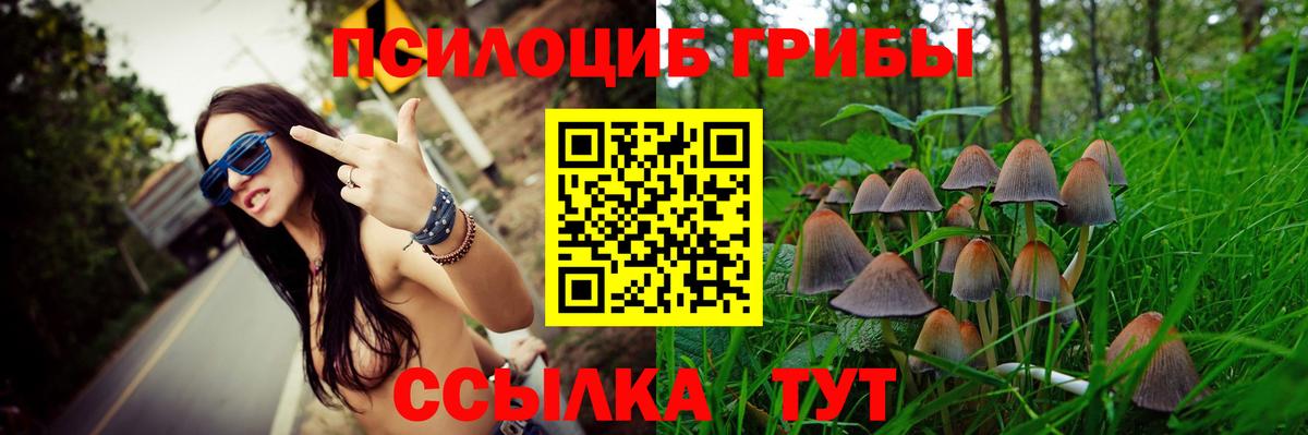 Галлюциногенные грибы Cubensis  Вход с VPN  наркошоп  Грозный 